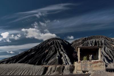Вышел в степь Донецкую...