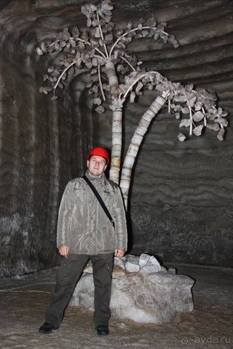 Вышел в степь Донецкую...