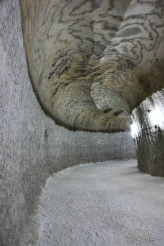 Вышел в степь Донецкую...