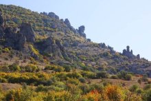 Альбом отзыва "Четвертый месяц лета"