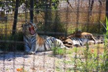 Четвертый месяц лета