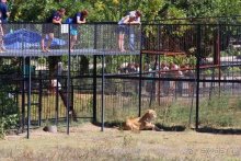 Четвертый месяц лета