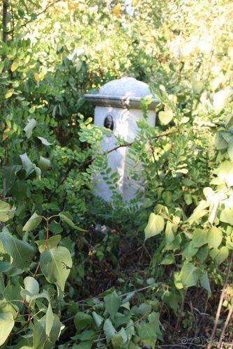 Четвертый месяц лета