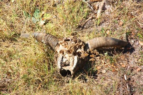 Четвертый месяц лета