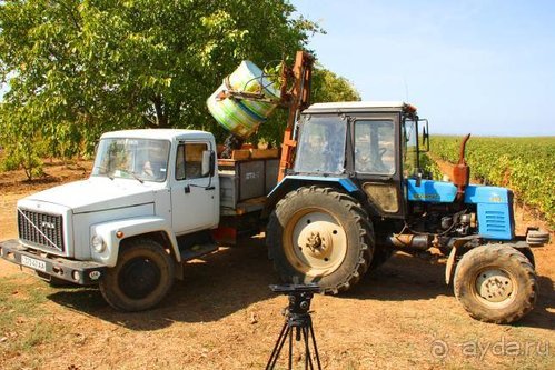 Четвертый месяц лета