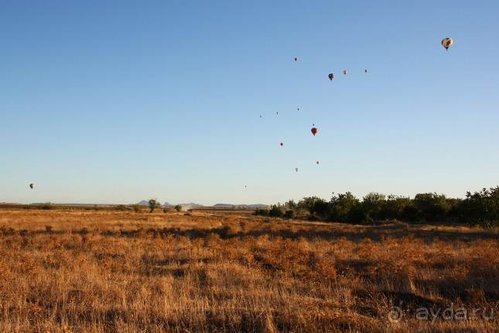 Четвертый месяц лета