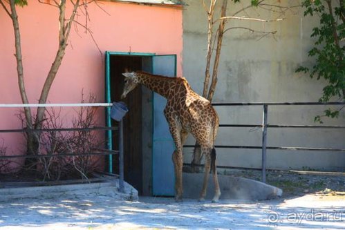 Четвертый месяц лета