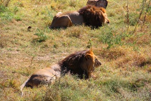 Четвертый месяц лета