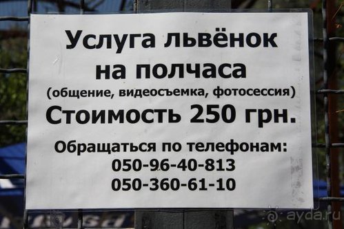 Четвертый месяц лета