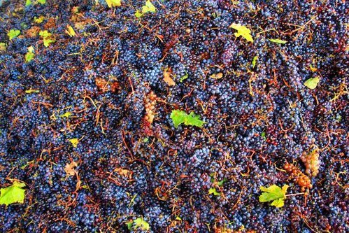 Четвертый месяц лета