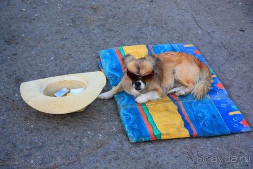 Четвертый месяц лета