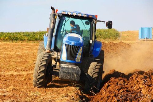 Четвертый месяц лета