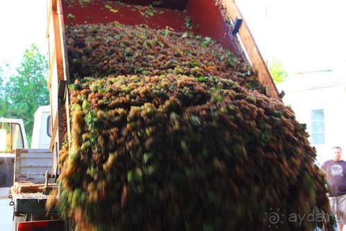 Четвертый месяц лета