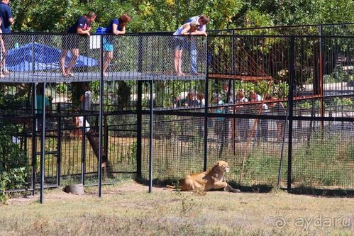 Четвертый месяц лета