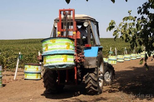 Четвертый месяц лета