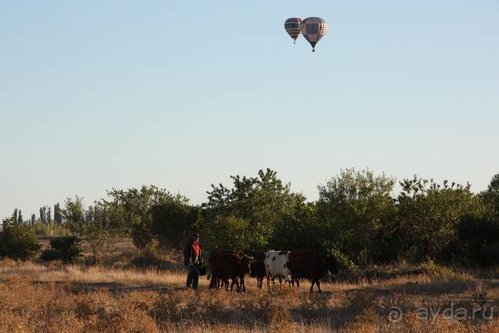Четвертый месяц лета