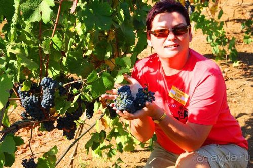 Четвертый месяц лета