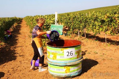 Четвертый месяц лета