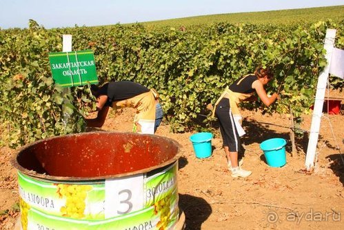 Четвертый месяц лета