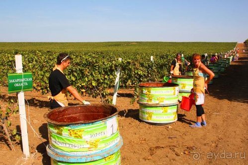 Четвертый месяц лета