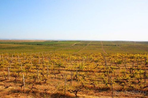 Четвертый месяц лета