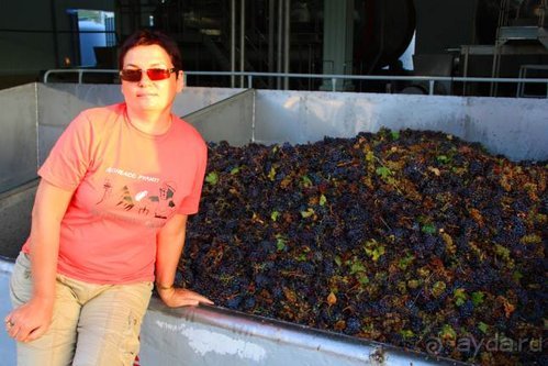 Четвертый месяц лета