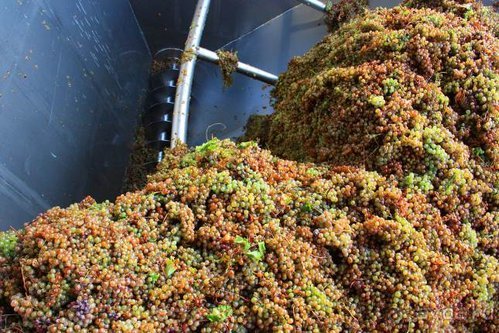 Четвертый месяц лета