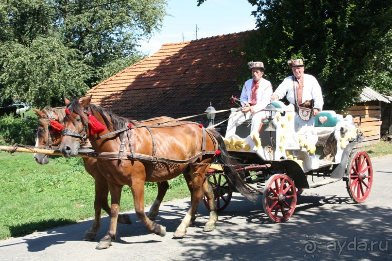 Альбом рассказа "Бовты за бовтами, часть 2."