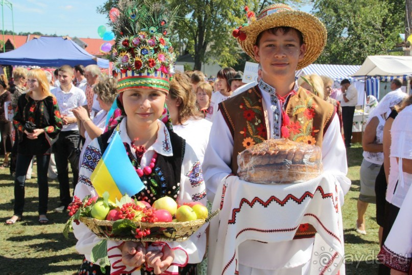 Бовты за бовтами, часть 2.