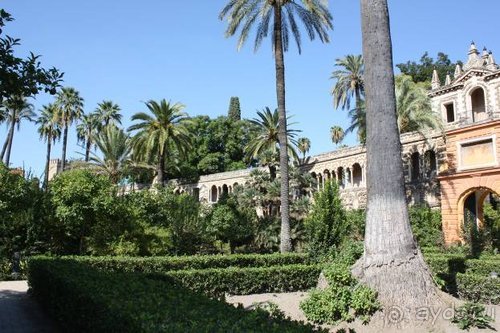 Путь из Португалии на Украину