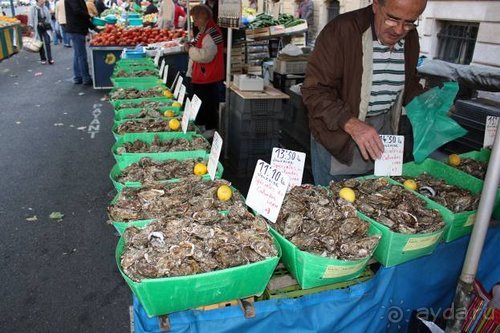 Путь из Португалии на Украину