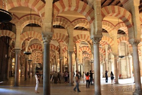 Путь из Португалии на Украину