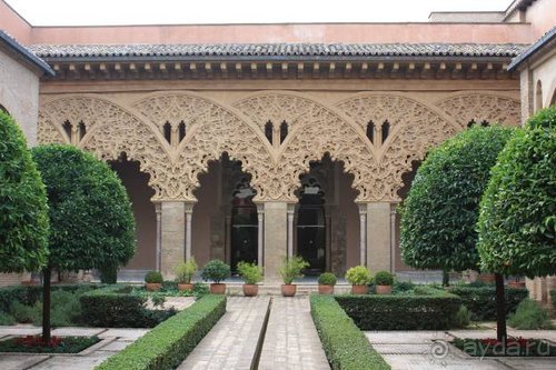 Путь из Португалии на Украину