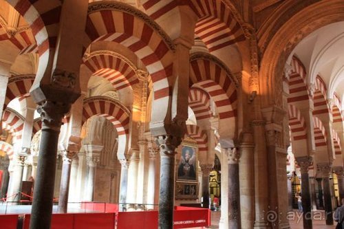 Путь из Португалии на Украину