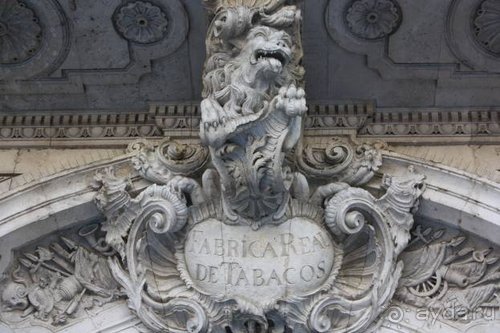 Путь из Португалии на Украину