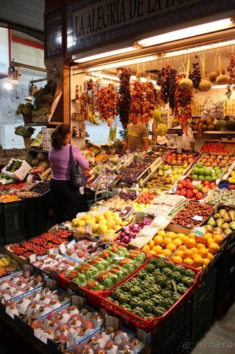 Путь из Португалии на Украину