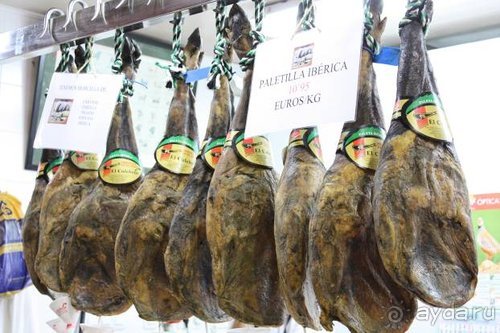 Путь из Португалии на Украину