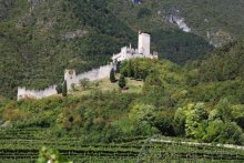 Альбом отзыва "Суета сует (путешествие по Италии)"