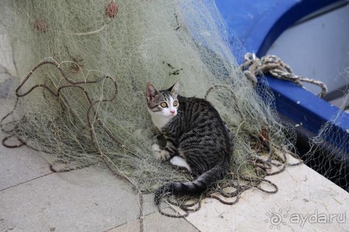 Суета сует (путешествие по Италии)