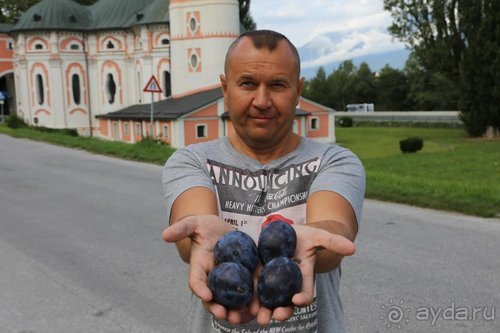 Альбом отзыва "Суета сует (путешествие по Италии)"