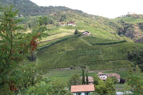 Суета сует (путешествие по Италии)