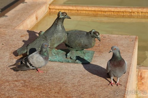 Суета сует (путешествие по Италии)