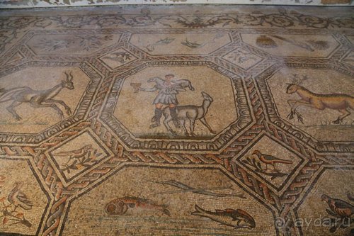 Суета сует (путешествие по Италии)