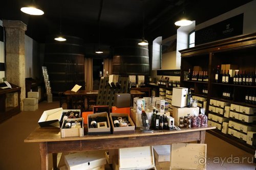 Суета сует (путешествие по Италии)