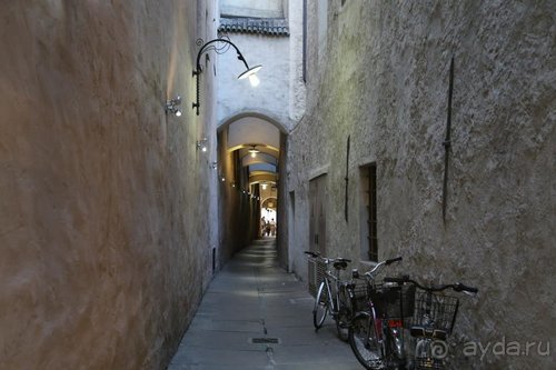 Суета сует (путешествие по Италии)