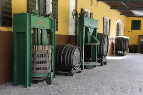 Суета сует (путешествие по Италии)