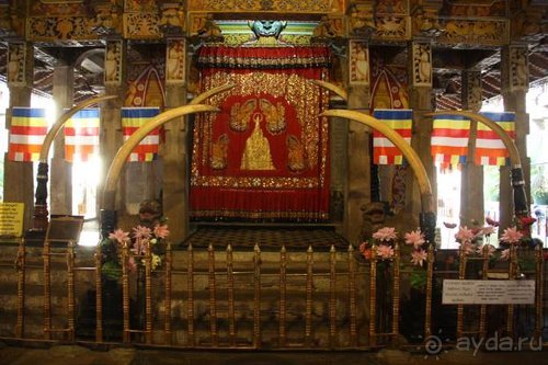 Горловка — Шри-Ланка