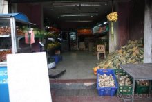 Горловка — Шри-Ланка