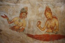 Горловка — Шри-Ланка