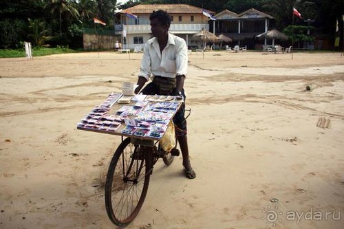 Горловка — Шри-Ланка